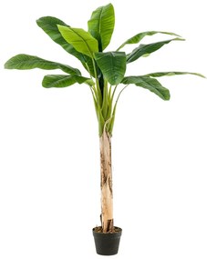 Albero Di Banane Artificiale İn Vaso 120 Cm /