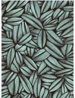 Élitis Carta da parati Succulente - Türkis /Grau