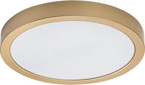 Rabalux 75079 - Plafoniera LED per bagno SHAUN PLUS 30W/230V Ø 30 cm IP44 dorata