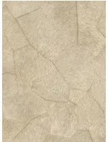 Élitis Carta da parati Pampa - VP 967 02