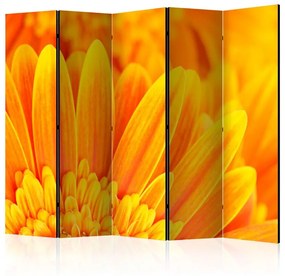 Paravento  Yellow gerbera daisies II [Room Dividers]  Colore ---, Dimensioni e Misure 225x172