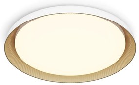 Philips - Plafoniera LED dimmerabile PEBBLO LED/10W/230V 2700K bianco