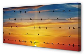 Quadro su tela Uccelli sul tramonto delle corde 100x50 cm