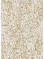 Sanderson Carta da parati Meadow Canvas - Wheat/ Cream