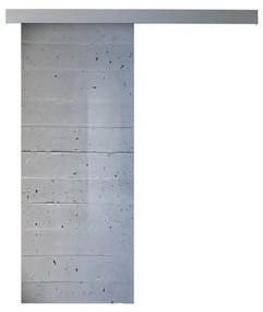 Anta per porta scorrevole Cemento in vetro grigio / argento L 88 x H 215 cm destra
