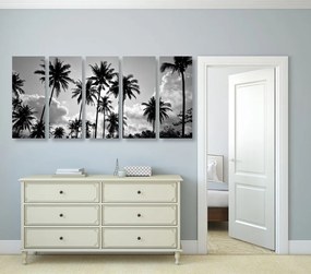 Quadri 5 pezzi – Palme da cocco sulla spiaggia in bianco e nero