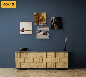 Set di quadri – Per gli amanti dei cavalli