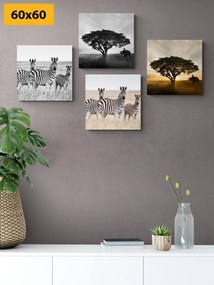 Set di quadri – Animali che vivono nella Savana