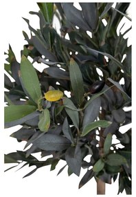 Ulivo artificiale (altezza 126 cm) - House Nordic