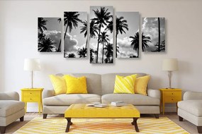 Quadri 5 pezzi – Palme da cocco sulla spiaggia in bianco e nero