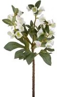 Set 4 Rami Artificiali di Helleborus Altezza 42 cm Bianco