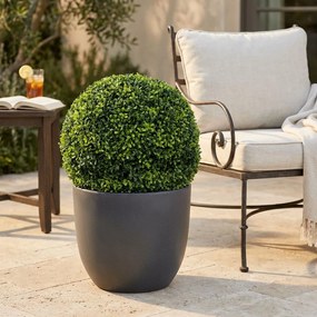 Sfera di bosso artificiale