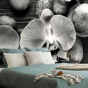 Carta da parati – Orchidea e pietre in bianco e nero