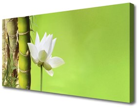 Quadro su tela Bambù Stelo Pianta Natura 100x50 cm