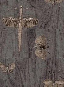 Arte International Carta da parati Wings - 42003