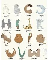 Coordonne Carta da parati panoramica Animal Alphabet - Multi