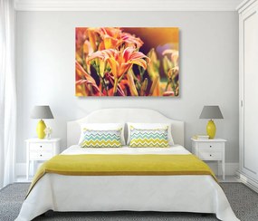Quadro su tela – Splendidi fiori in giardino
