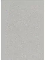 Eijffinger Carta da parati Topaz 1 - Hell-Silber