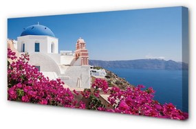 Quadro stampa su tela Edifici marini dei fiori della Grecia 100x50 cm
