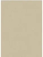 Boråstapeter Carta da parati Linen - Straw Linen