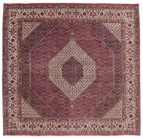 Bidjar Tappeto persiano 260x250 (Iran) Annodato A Mano