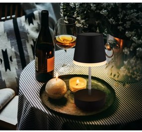 Globo 36638S - Lampada solare LED 10xLED/0,06W/3V IP44 nero