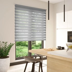 Tenda a rullo giorno / notte INSPIRE Bolero grigio Granit 3 165x250 cm