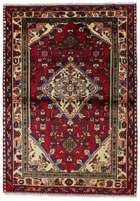 Hamedan Tappeto 160 x 110 (Iran)
