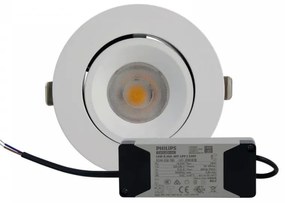 Faro LED da Incasso 15W Orientabile foro Ø100mm con driver Philips Colore  Bianco Naturale 4.000K