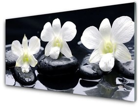 Quadro acrilico Pianta di pietre di orchidea 100x50 cm