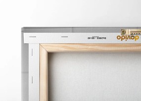 Quadro su tela – Mucca sotto la doccia