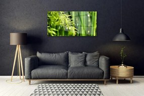 Quadro su vetro Pianta di foglie di bambù 100x50 cm