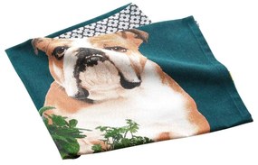 Asciugamano in cotone 50x70 cm Hot dog - douceur d'intérieur