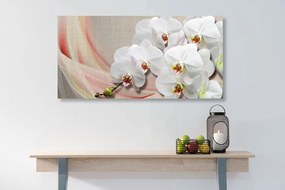 Quadro su tela – Orchidea bianca su tela