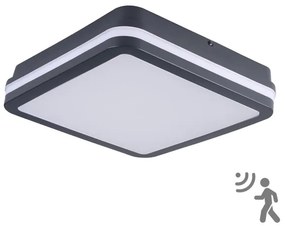 Brilagi - Lampada LED da esterno con sensore BENE LED/24W/230V 26x26 cm IP54
