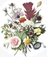KEK Amsterdam Wandbild Wild Flowers Circle - S - 1.425m