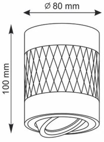 Luce Spot RUBIN 1xGU10/10W/230V nero