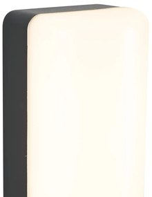 Applique da esterno nera con sensore crepuscolare con LED incl. - Shift