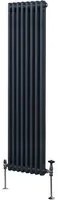 Termosifone Radiatore a 2 colonne per riscaldamento centralizzato verticale Grigio Antracite 180x38cm