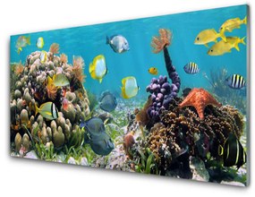 Pannello rivestimento parete cucina Natura della barriera corallina 100x50 cm