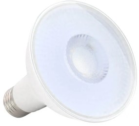 Lampada LED PAR30 12W 38° Colore Bianco Freddo 6.000K