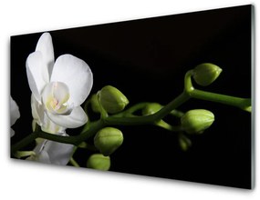 Quadro vetro Fiore Pianta naturale 100x50 cm