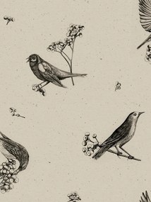 Coordonne Carta da parati Sweet Birds - Black