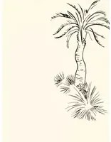 Paint & Paper Library Carta da parati Lighthouse Palm - Pentle
