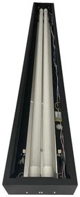 Lampada fluorescente T8 2xG13/18W/230V 120 cm nero