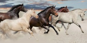 Stampa su tela – Branco di cavalli