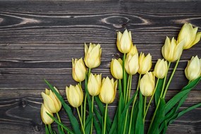 Carta da parati – Tulipani gialli su sfondo di legno