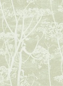 Tapete Cow Parsley Icons von Cole & Son - Olive