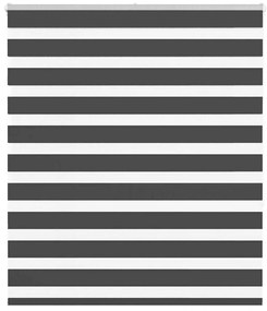 Tenda A Rullo Zebra Nero Larghezza Tessuto 115,9 Cm Poliestere /