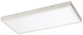 Rabalux 71077 - Pannello a plafone LED DAMEK LED/24W/230V 4000K 60x30 cm